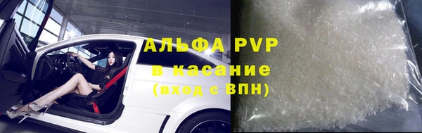 СК Волоколамск