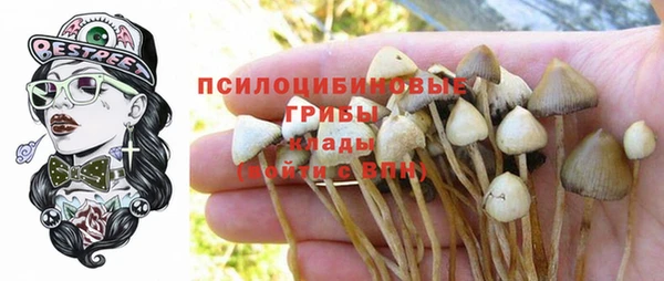 соль курить ск Володарск