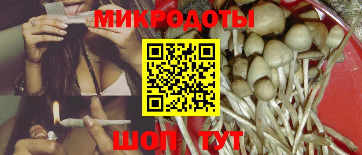 Георгиевск  Галлюциногенные грибы Cubensis  Вход с VPN  Галлюциногенные грибы мухоморы 