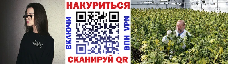 Бошки Шишки тримм  MEGA сайт  Георгиевск 